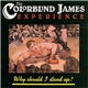 The Colorblind James Experience - Why Should I Stand Up?